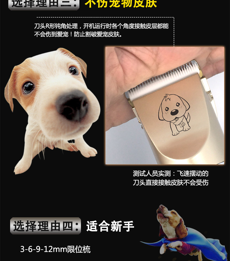 P88宠物款750_07.jpg