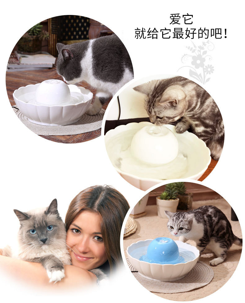 8982765367_1980815622