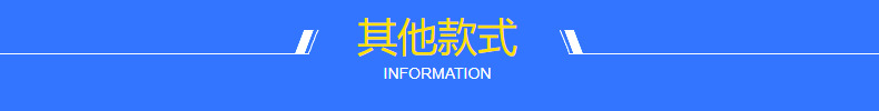 其他款式.jpg