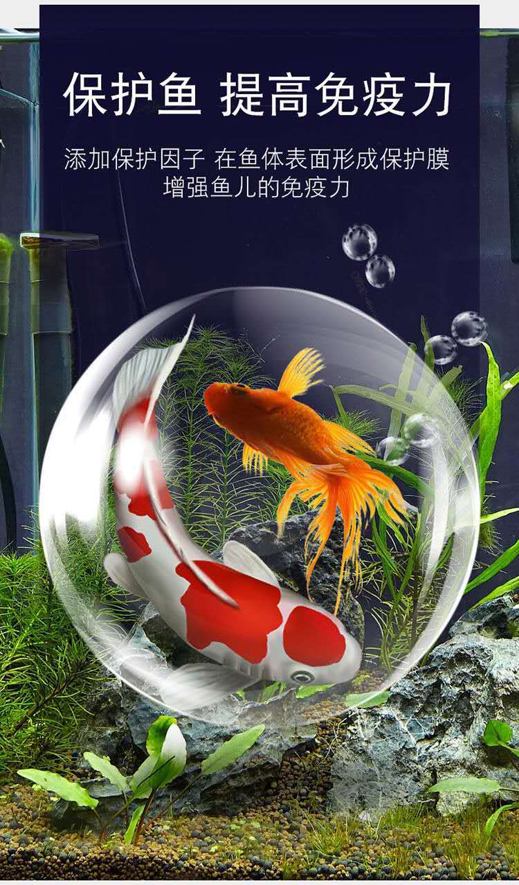 微信图片_20190628234033