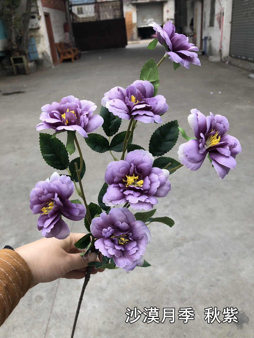 微信图片_20190121160944