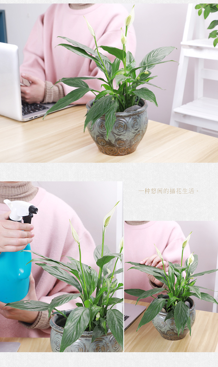 花盆2_09.jpg