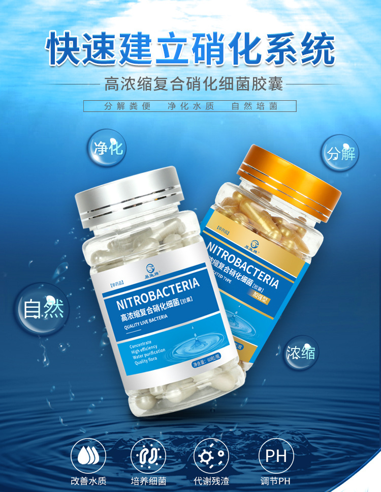 硝化细菌胶囊1_01