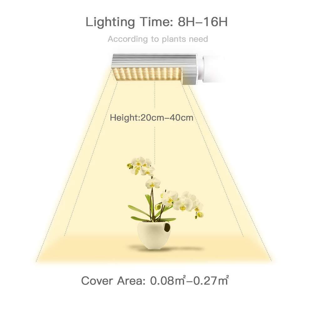 512xmekcnNL._SL1000_