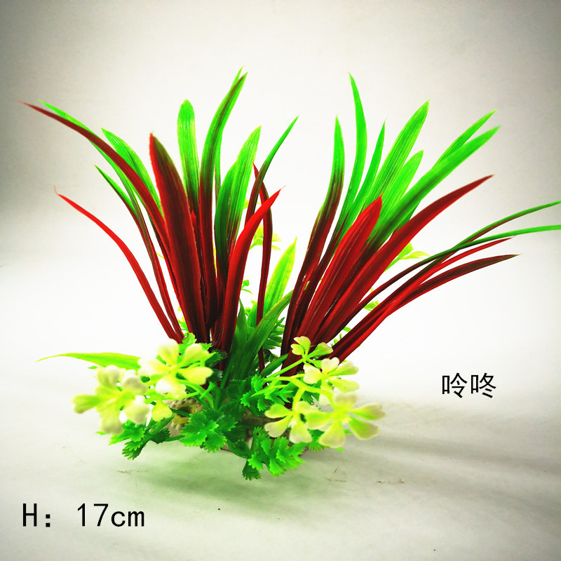 IMG_20190528_143934_副本