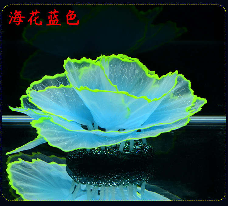 O1CN01LnQYfP2FKqSMAOpvz_!!2200