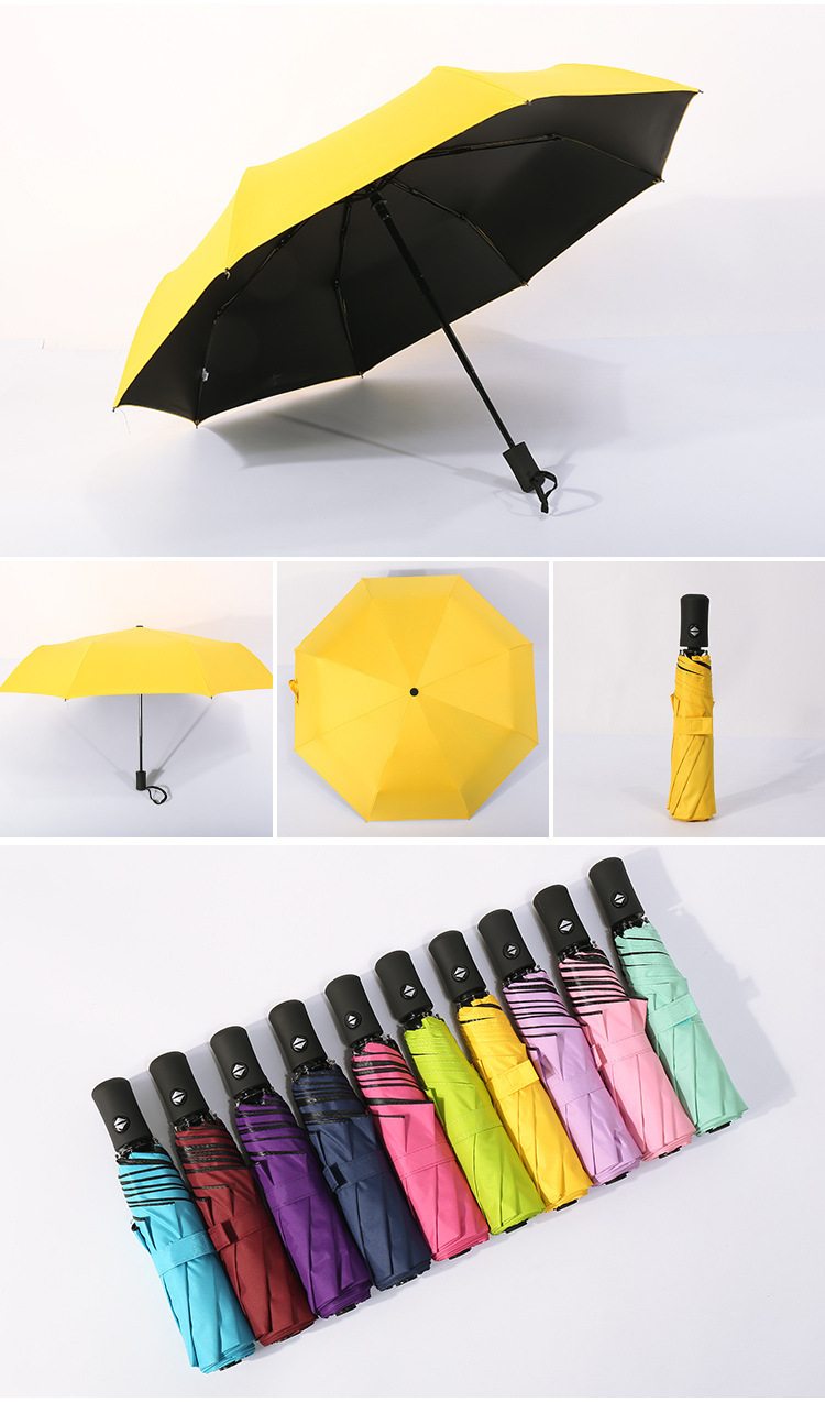 10938463809_892876578