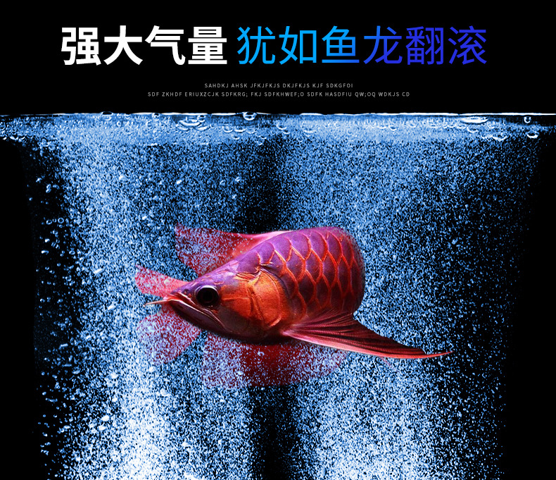 AP-30高压增氧泵_05