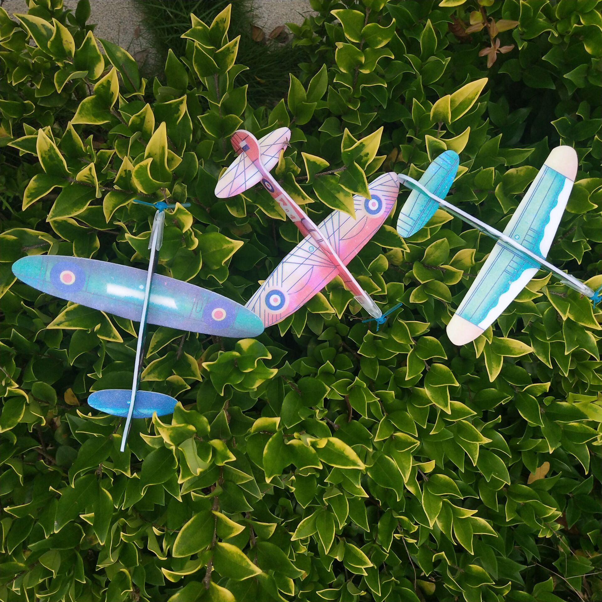 QQ图片20190719182008