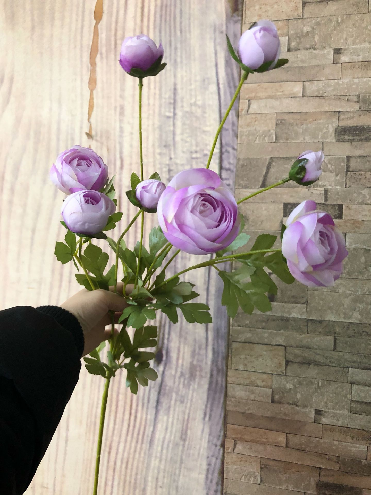 微信图片_20190122164705