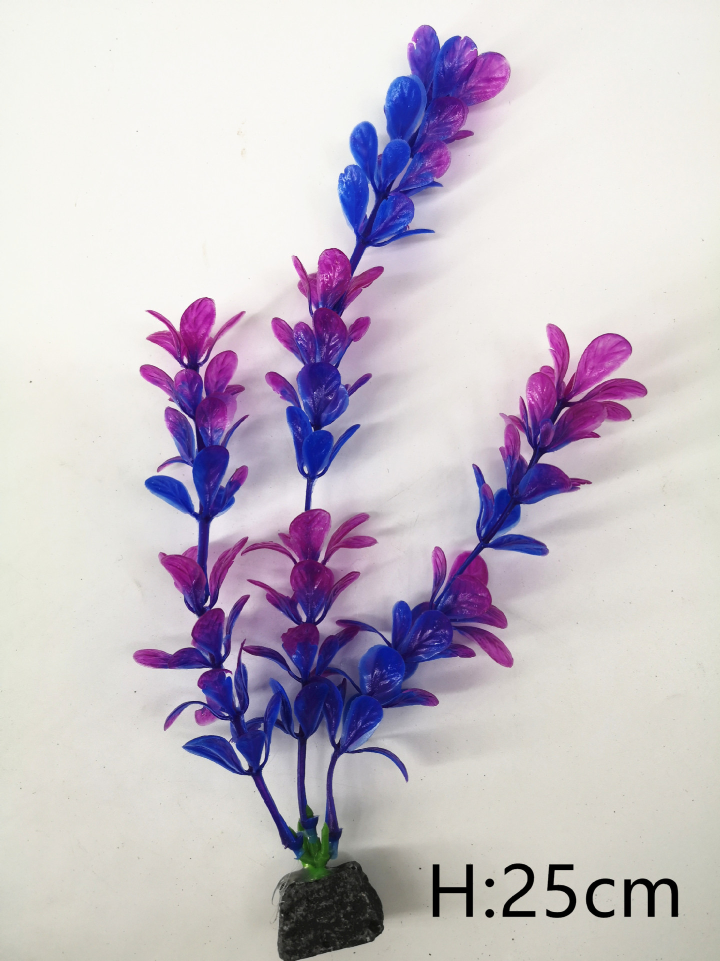 IMG_20190701_104656_副本