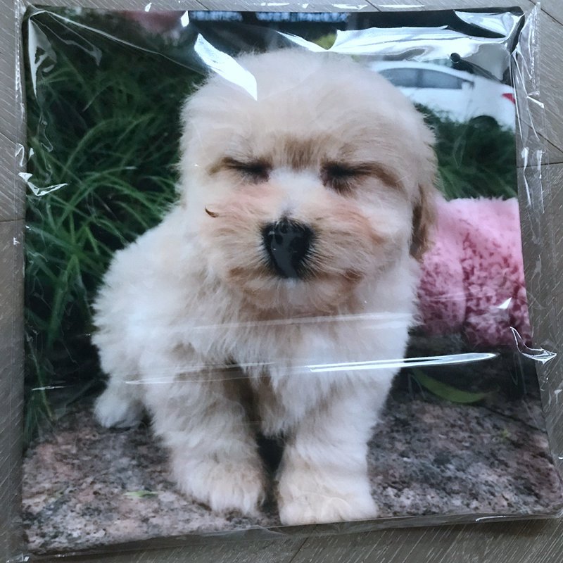 微信图片_20191031153633