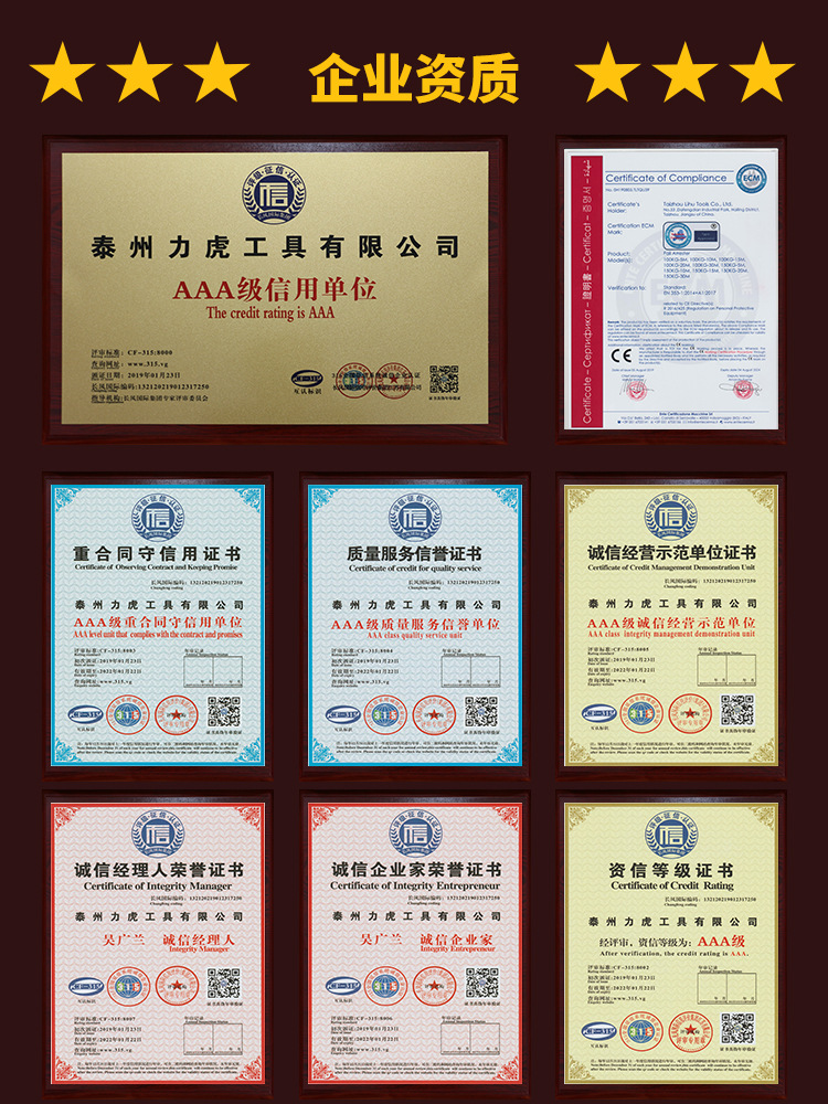 荣誉证书3 防坠器.jpg