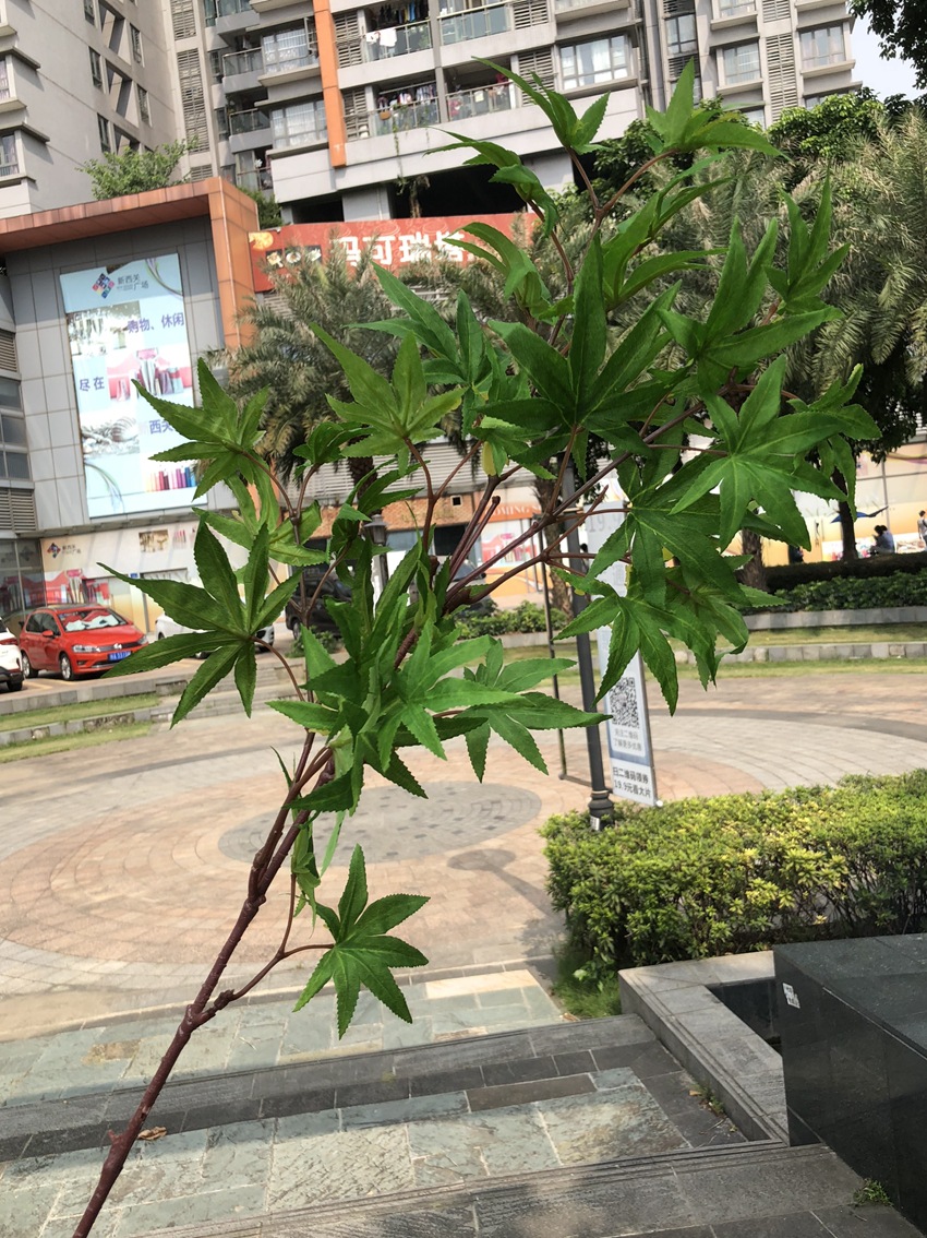 微信图片_20190824135207