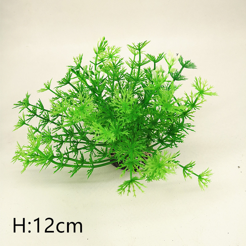 IMG_20190701_110213_副本