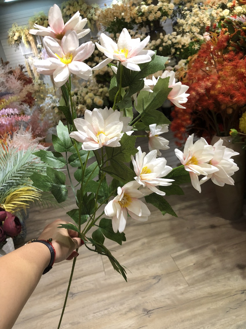 微信图片_20190826144142