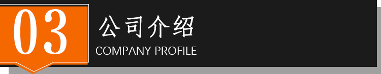 公司介绍
