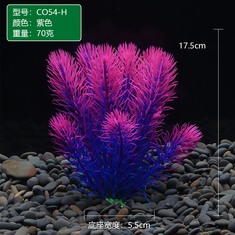 CO54-H紫色.JPG