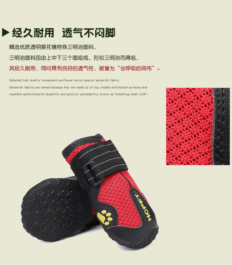 透气大狗鞋_r4_c1.jpg
