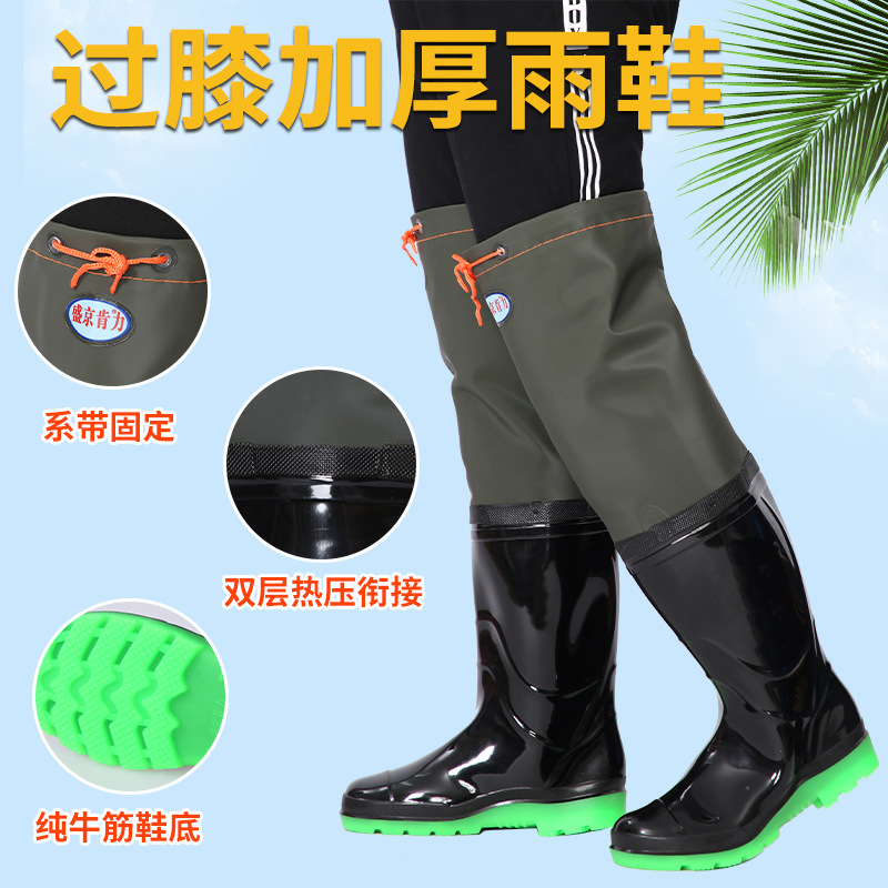 主2.jpg