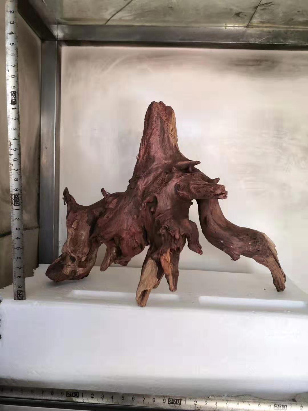 微信图片_20190926112710