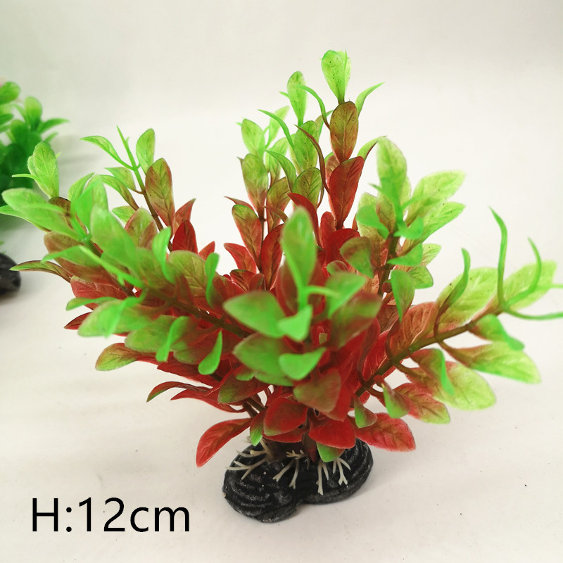 IMG_20190701_110301_副本