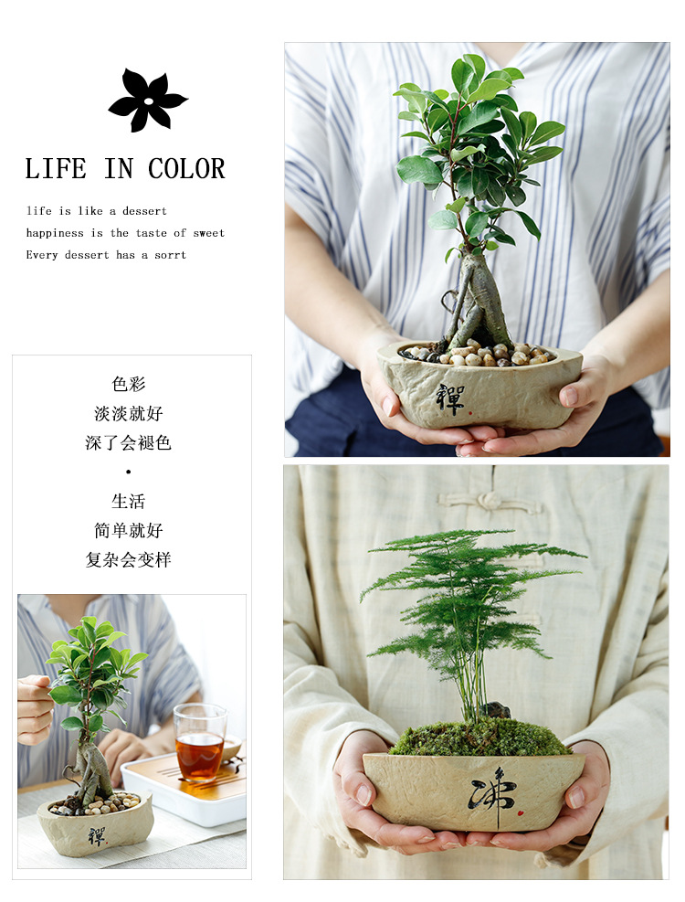 粗陶花盆_02.jpg