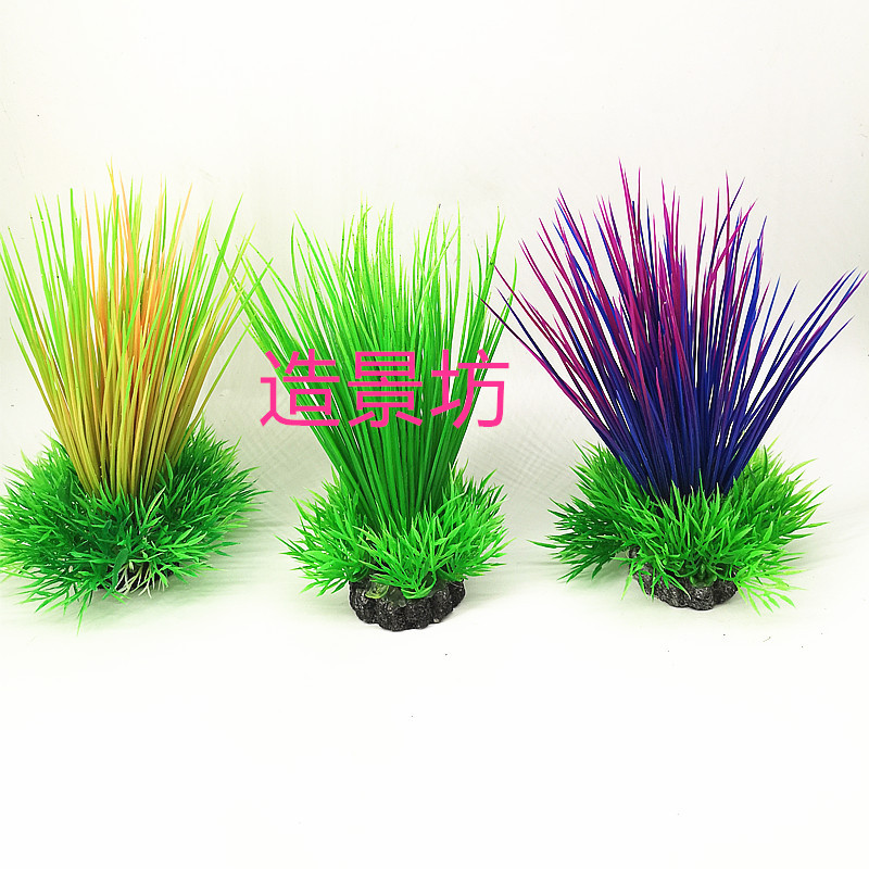 IMG_20190701_162646_副本