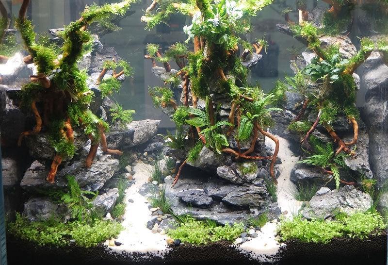 小杜鹃枝条水族根须装饰微景观造景杜鹃根须杜鹃根枝条微景观藤条