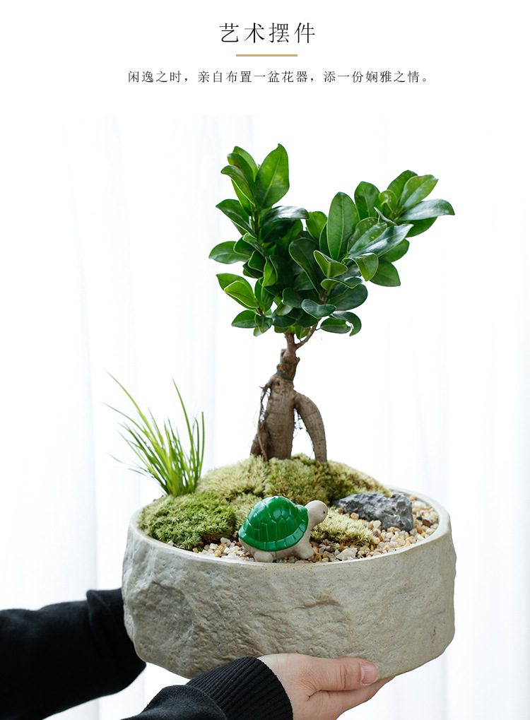 粗陶花盆4_10.jpg