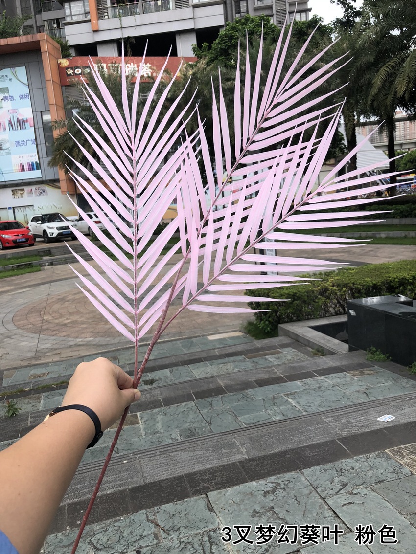 微信图片_20190906141601