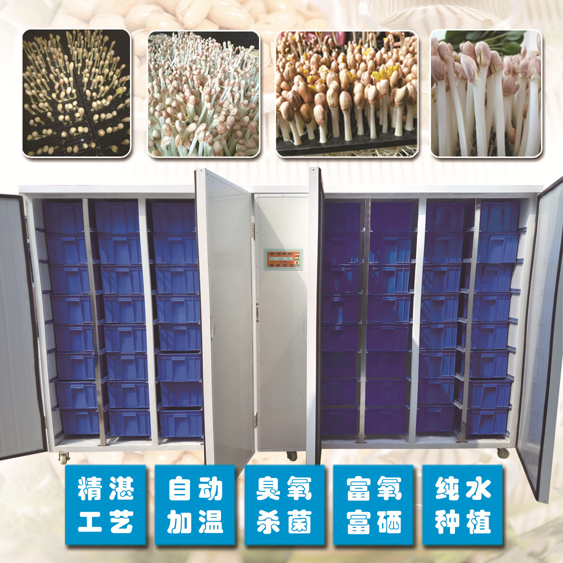 花生芽机展示页02