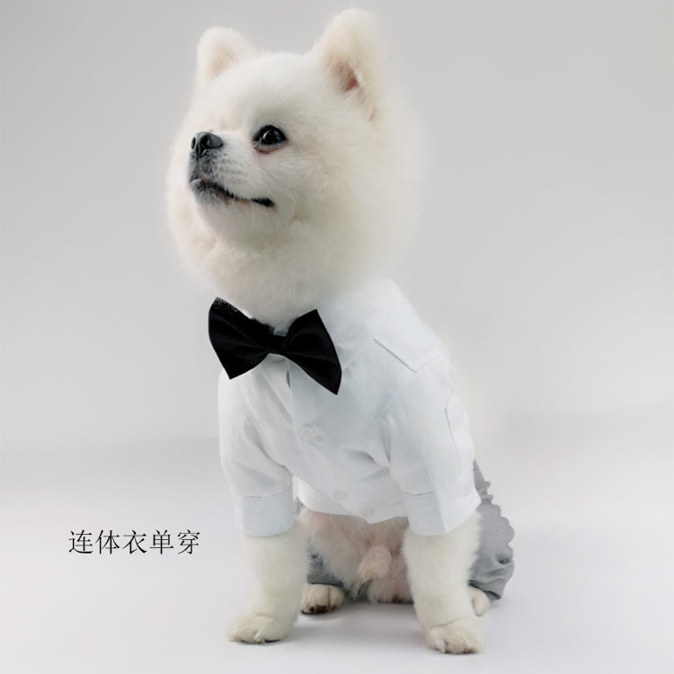 西装四脚衣详情_10