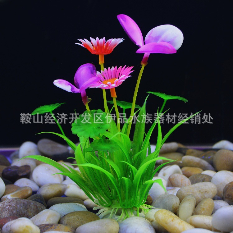 O1CN01x1uTRv1KVtvwVFOqz_!!1035