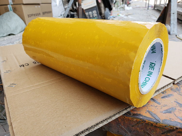 8975736061_1016296995