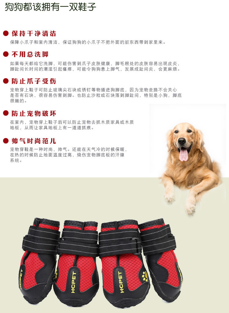 透气大狗鞋_r3_c1.jpg
