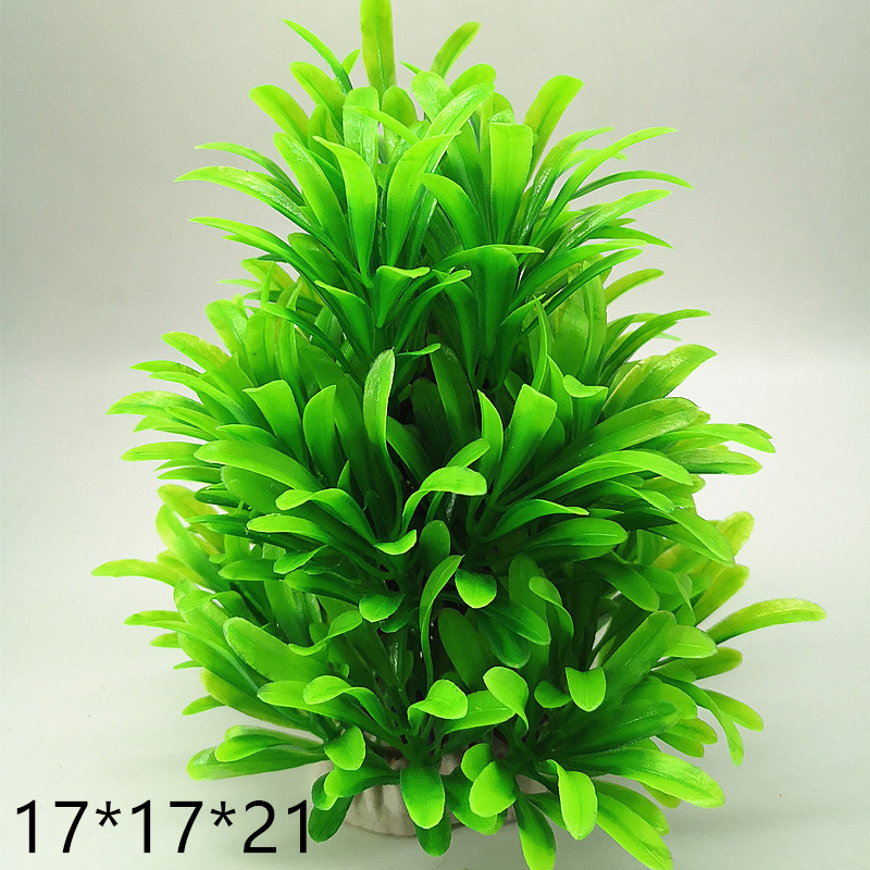 IMG_20190701_205049_副本