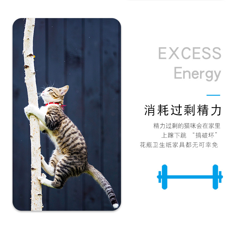电动牙刷虫_03.jpg