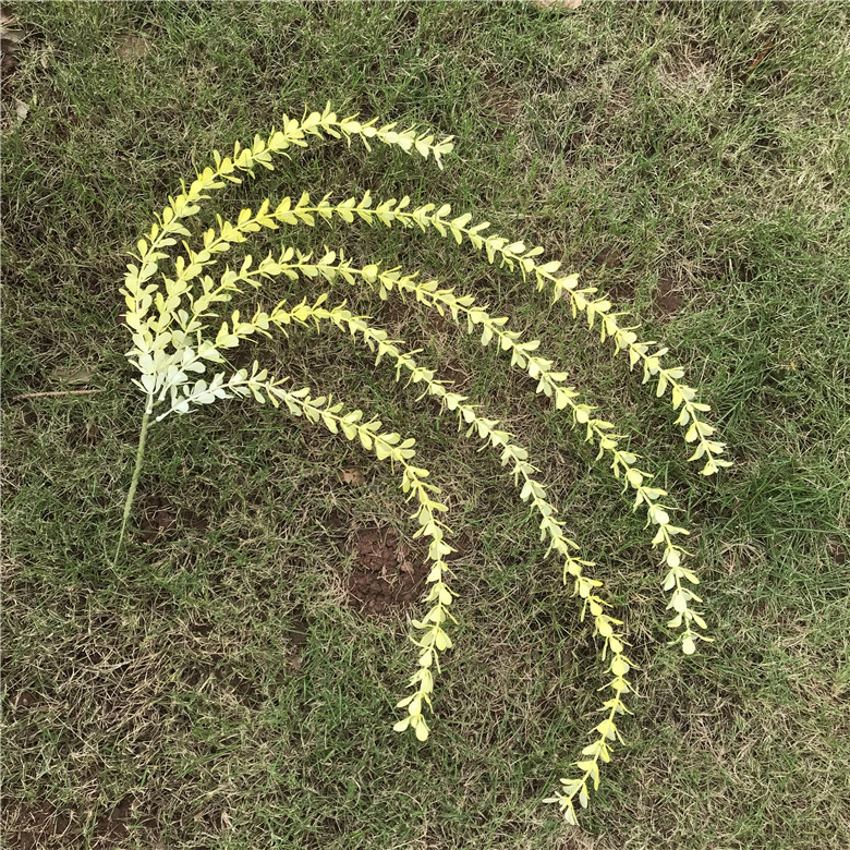 微信图片_20190804152629