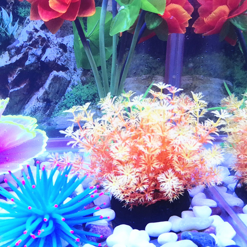 WuTa_2019-06-05_16-22-21