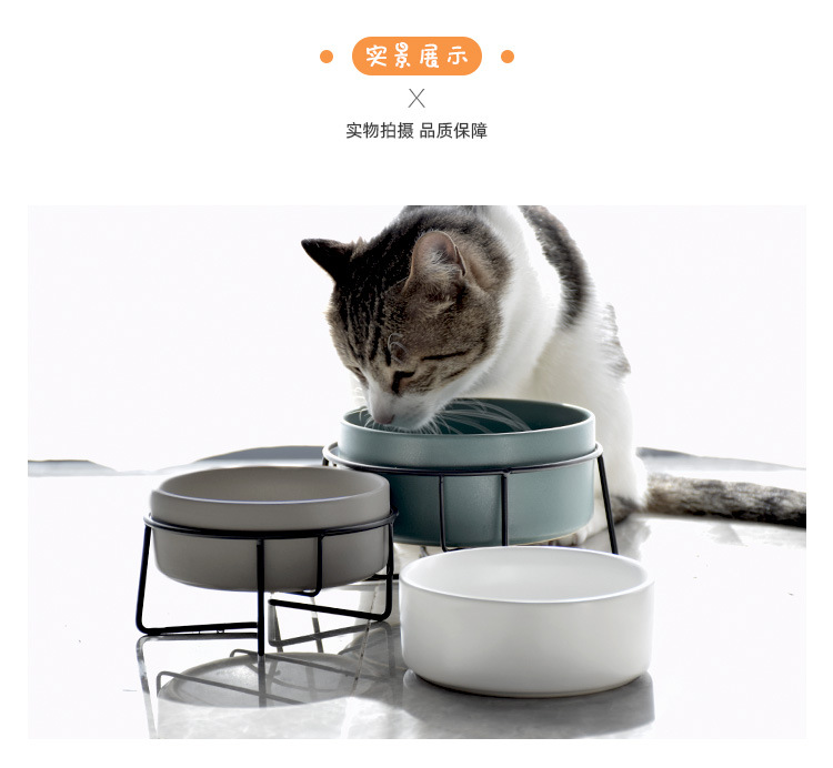 黑架猫碗_09.jpg?x-oss-process=image/format,png