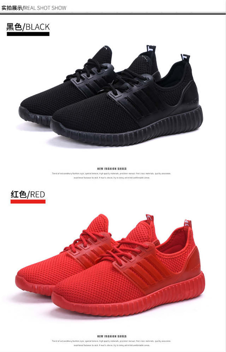 40__6515465298_1196080992.jpg