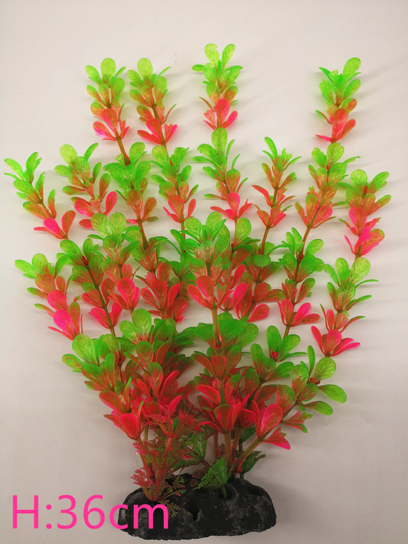 IMG_20190701_101540_副本