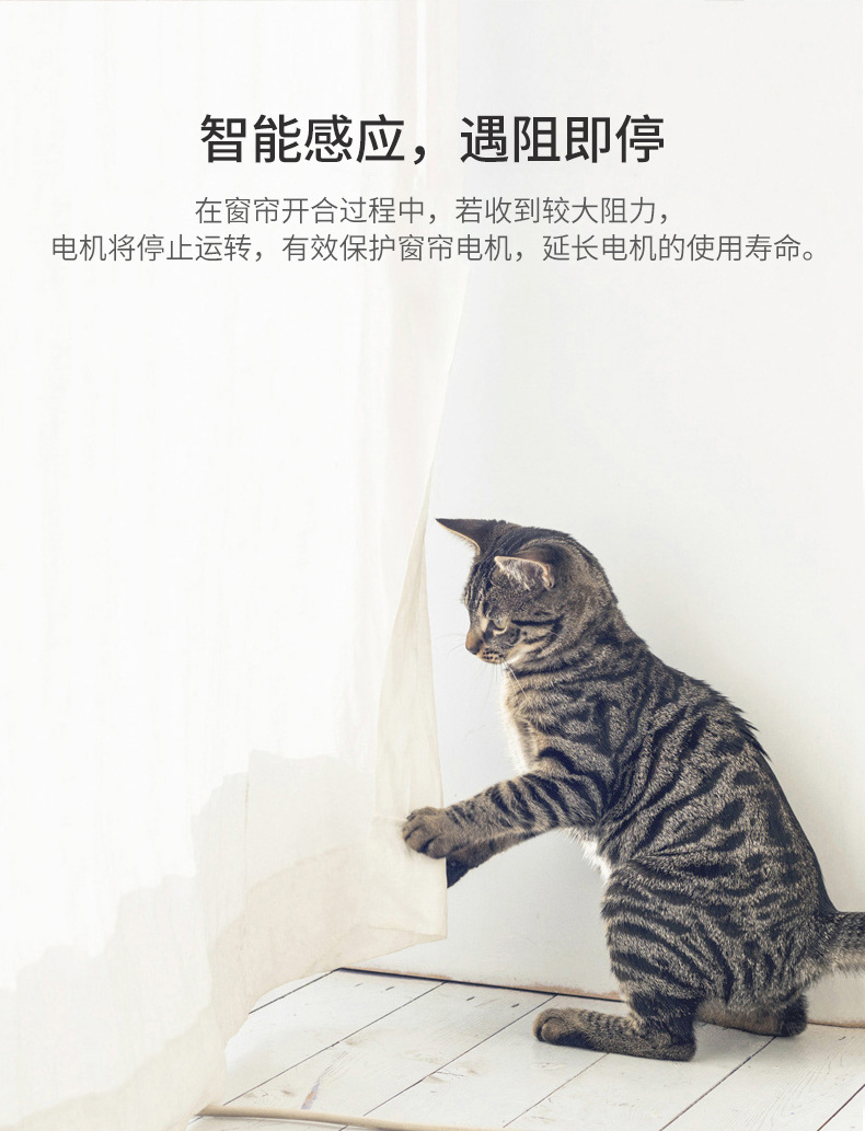 电动轨道_10.jpg