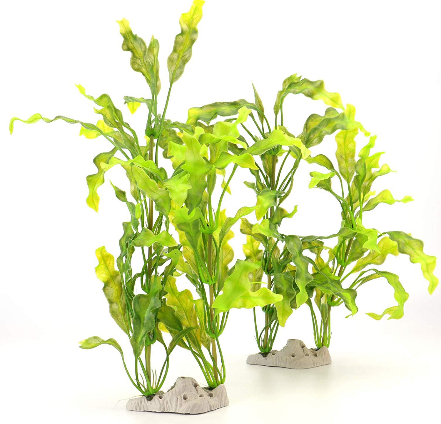 716vu95Wl1L._AC_SL1500_