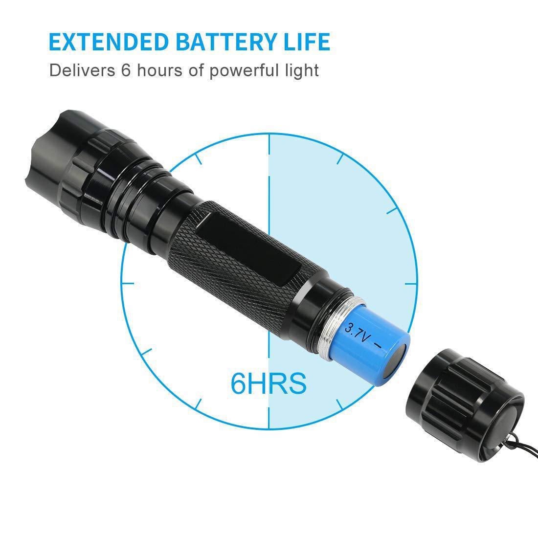 10035259982_116968339