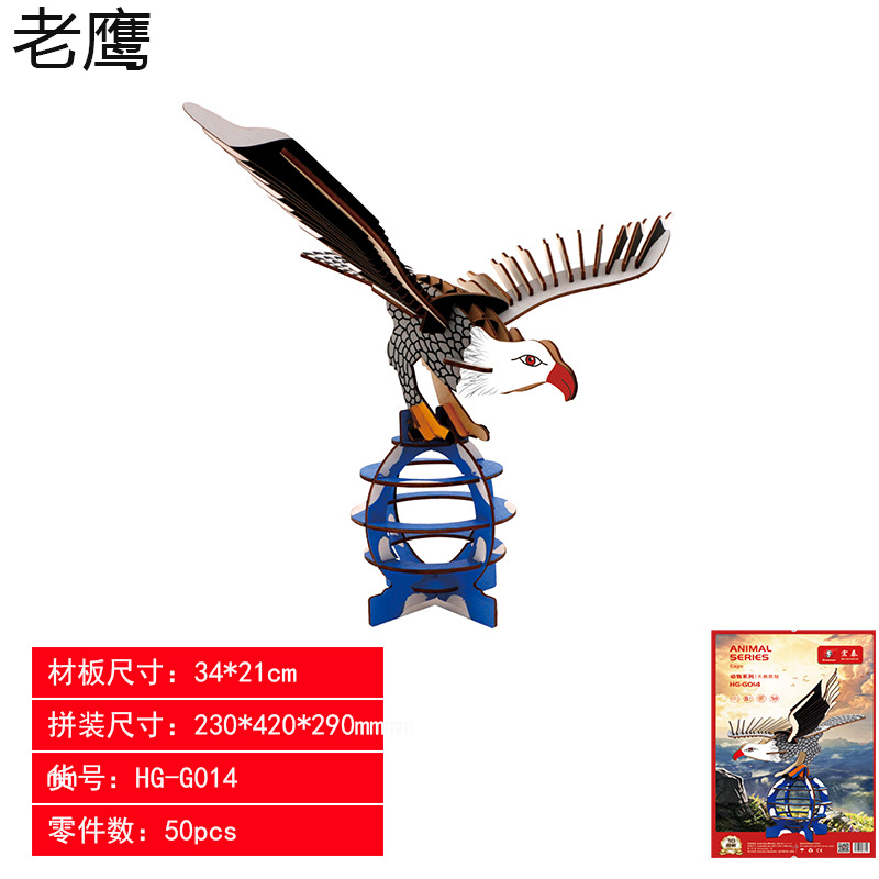 老鹰
