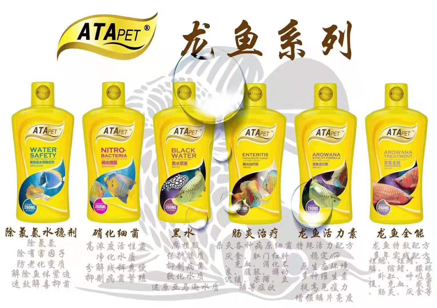 微信图片_20190311173656