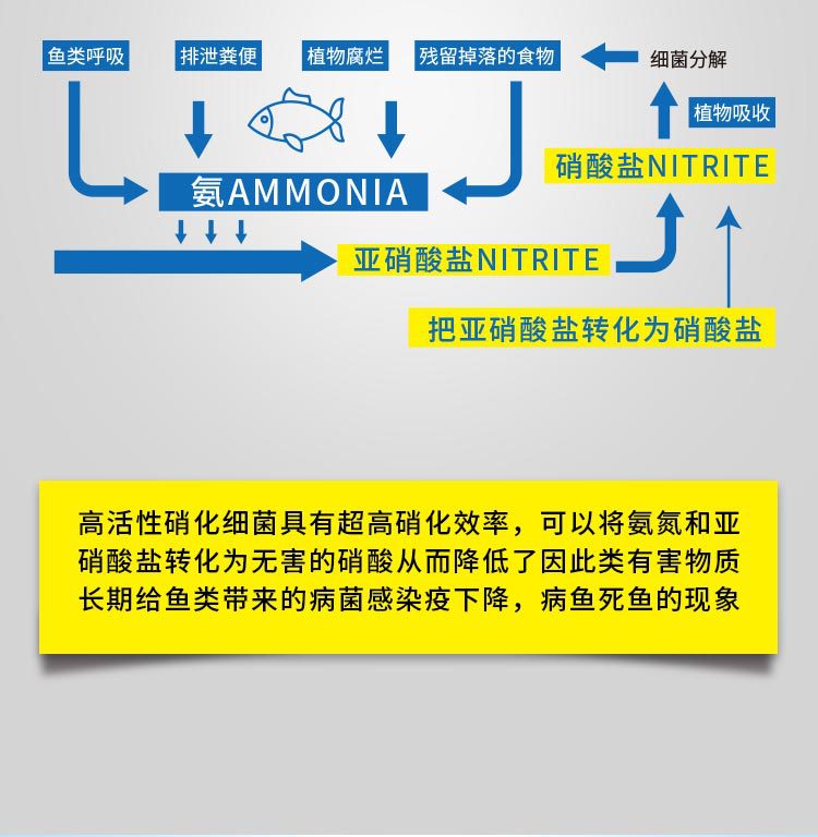 硝化细菌胶囊散装_06