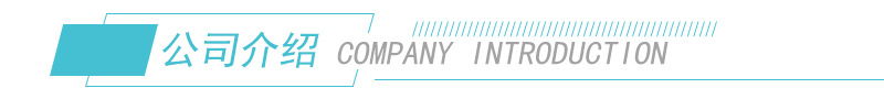 公司介绍